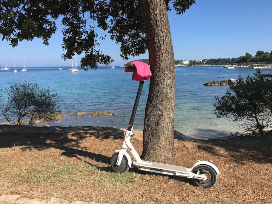 Apartment Capo D'Oro Rovinj Eksteriør billede