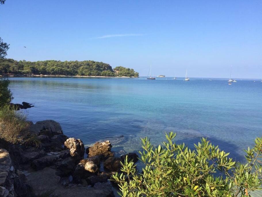 Apartment Capo D'Oro Rovinj Eksteriør billede
