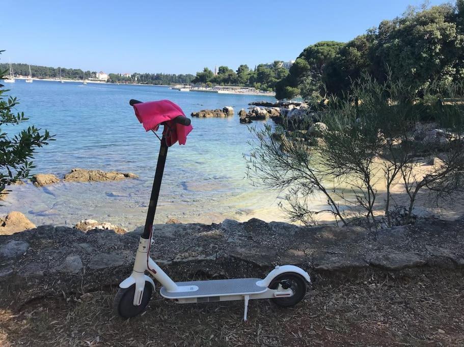 Apartment Capo D'Oro Rovinj Eksteriør billede